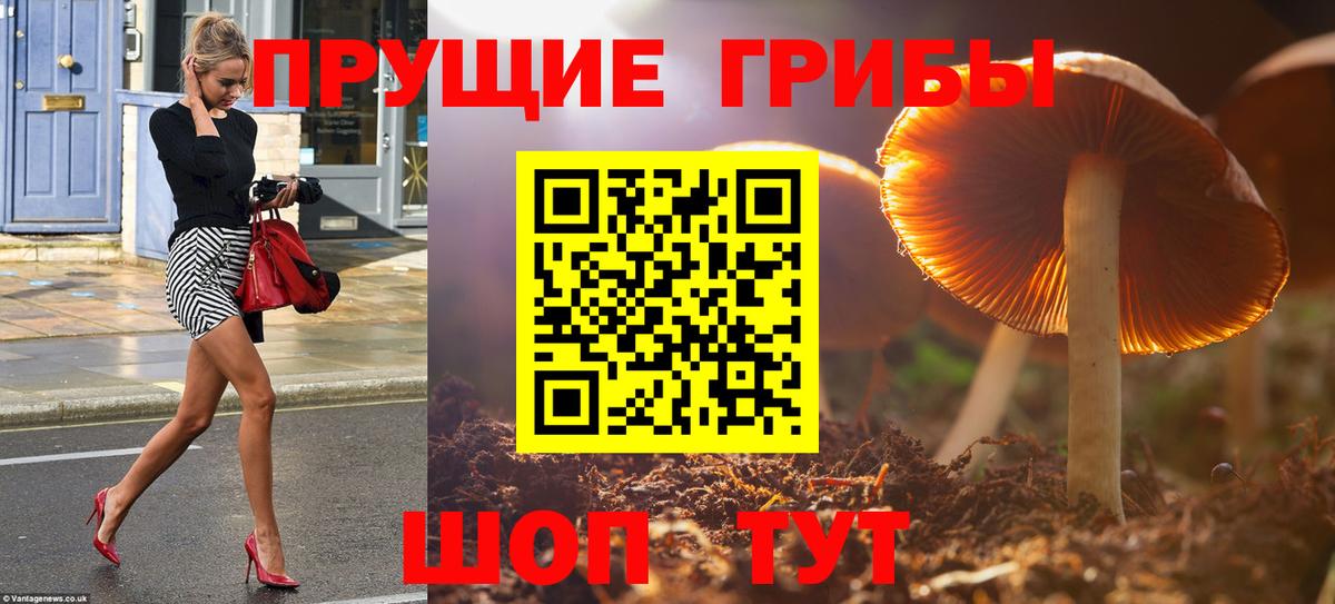 Лиски  Псилоцибиновые грибы прущие грибы  Псилоцибиновые грибы мухоморы  Вход с VPN 